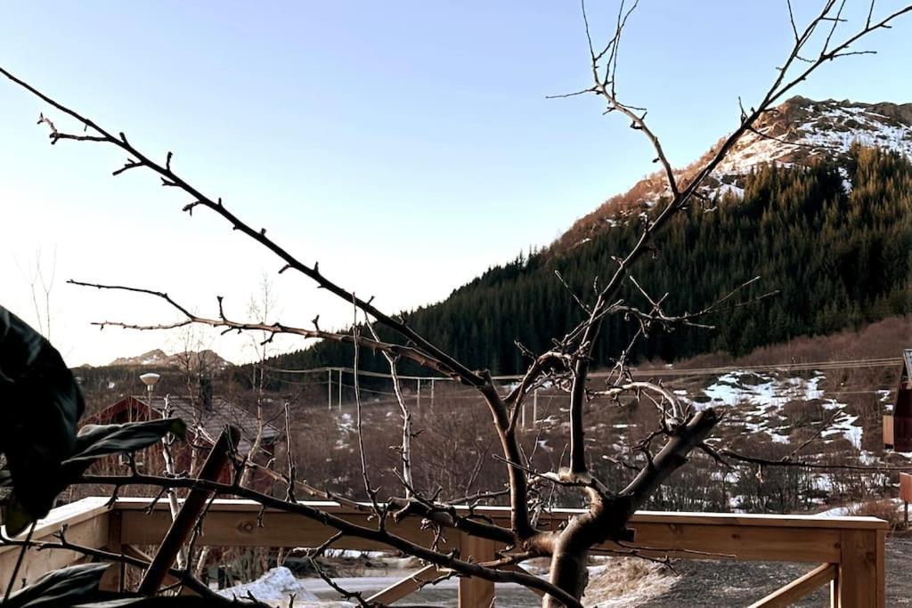 Ett Roms Leilighet Vestvagoy Gravdal  Luaran gambar
